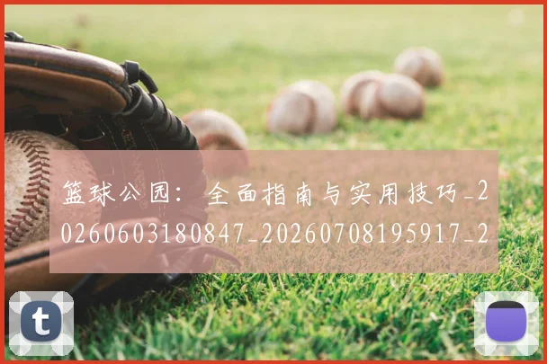 篮球公园：全面指南与实用技巧_20260603180847_20260708195917_20260803134546