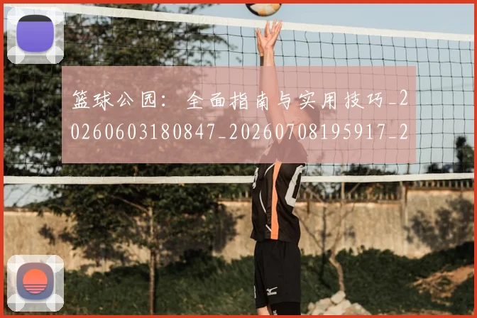 篮球公园：全面指南与实用技巧_20260603180847_20260708195917_20260803134546