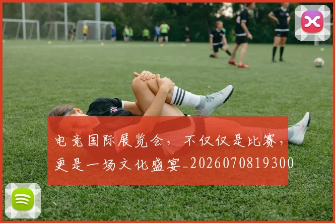 电竞国际展览会，不仅仅是比赛，更是一场文化盛宴_20260708193007_20260802162031